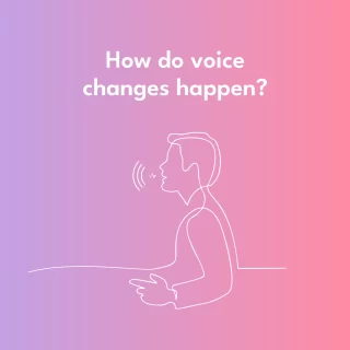 At the onset of puberty or during the course of it, not all hormonal changes involve height, development of genitals, etc. 🤔
Especially in boys, the larynx (voice box) grows larger and the vocal cords lengthen, causing the voice to deepen. This process can sometimes result in a ""cracking"" voice as it adjusts. 👀
.
.
#voicechanges #puberty #hormones #hormonalchanges #larynx #deepeningvoice #boysvoices #cracking #voicecracking #throat #voicebox