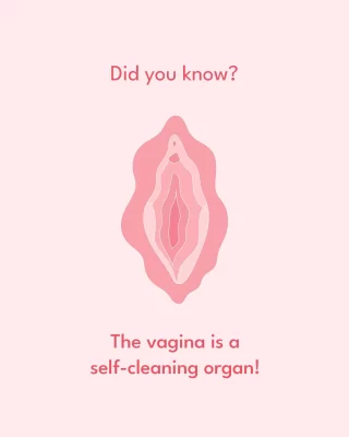One of the most interesting facts about the vagina is that it is a self-cleaning organ; this means that the vagina (also known as the internal opening that leads to your cervix) does NOT need to be washed 😮
However, it is necessary to wash your vulva (the outer part of your genitals) and the area around your anus to help prevent infections and irritations in the vagina.
Comment with '👍🏼' if you want more facts like this!
.
.
#vagina #vaginas #selfcleaning #vaginal #clitoris #reproduction #vaginalopening #vaginalcanal #vulva #womenbodies #reproductive #vaginalcleaning #sexualhealth #sexual