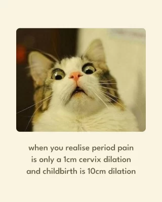 Suddenly, everything makes sense.
Respect to every woman who’s ever given birth - and to us for surviving this monthly preview. 🫡😮‍💨
.
.
#WomenAreStrong #PeriodPain #CervixDilation #Childbirth #Dilation
