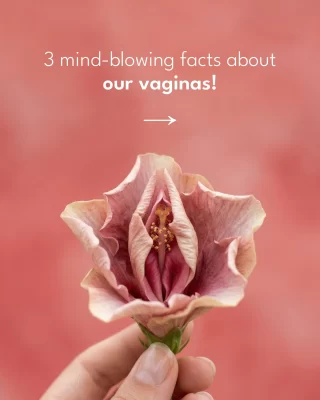 In addition to being an essential part of the female reproductive system and playing several important roles in sexual intercourse, childbirth, and overall health, the vagina has many secrets of its own.
Here are some facts we bet you haven't come across before!
.
.
#vaginas #vaginafacts #periodtalk #pHbalance #womenbody #vaginainformation #vaginalbalance